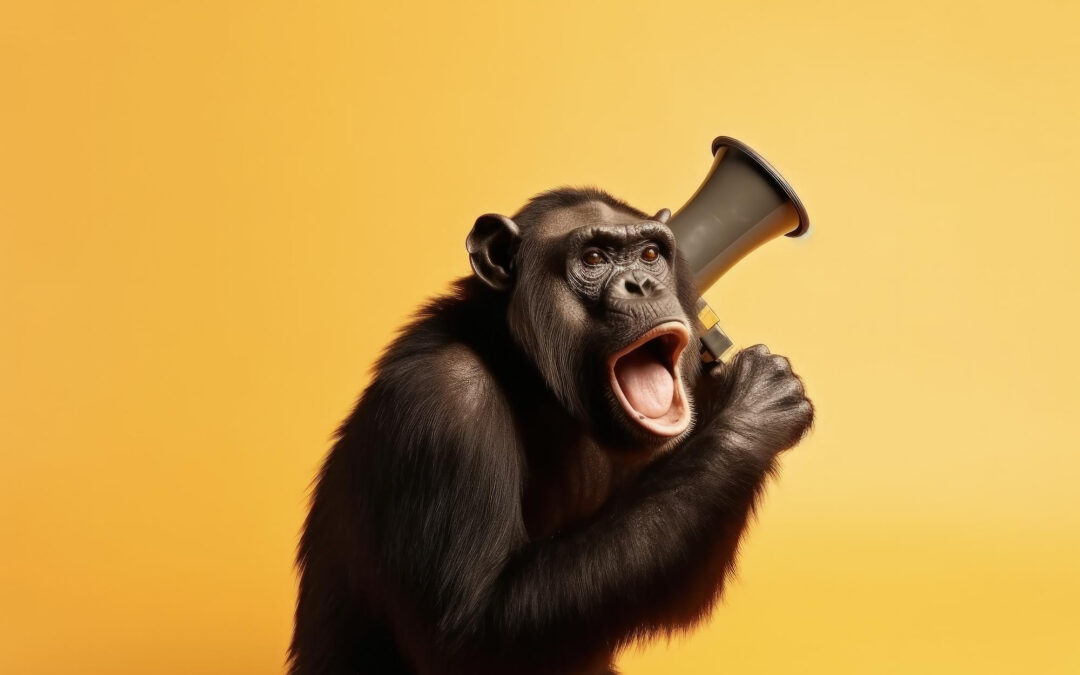 Chimpanzee holding a megaphone screaming